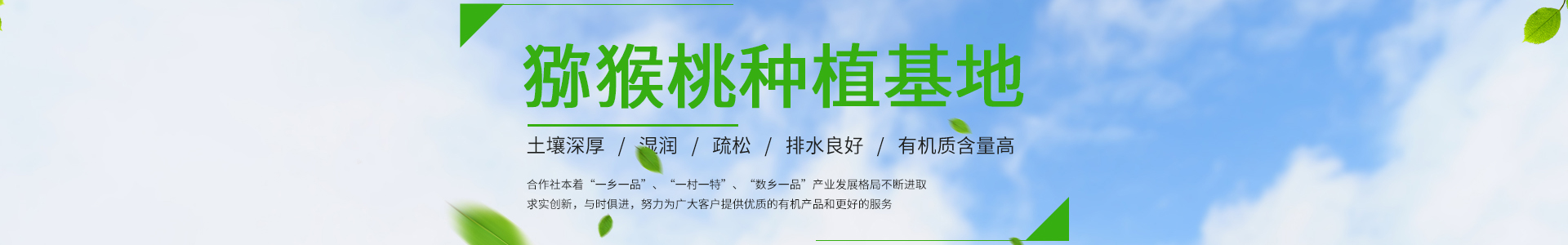 公司简介