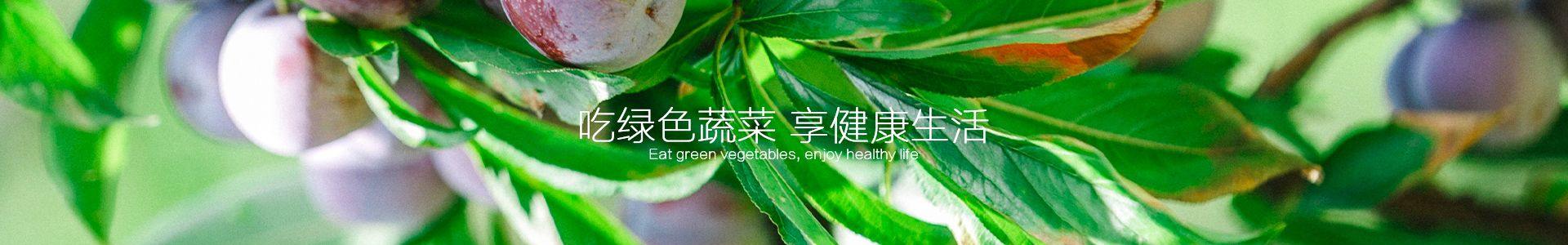 联系我们